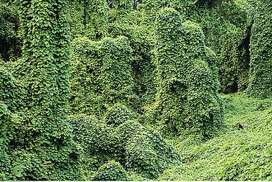 任天堂扩大对《塞尔达传说》MOD发布者的打击力度